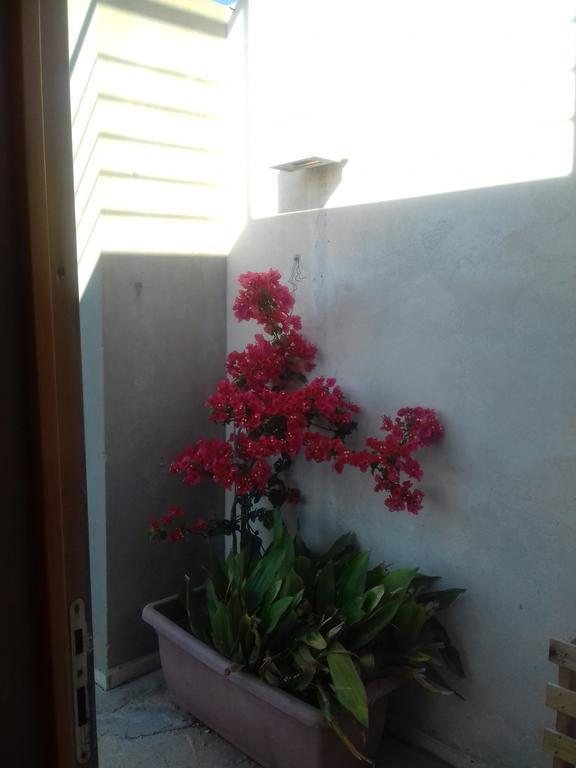فيلا Casa Dei Fenicotteri ماراوْسا المظهر الخارجي الصورة